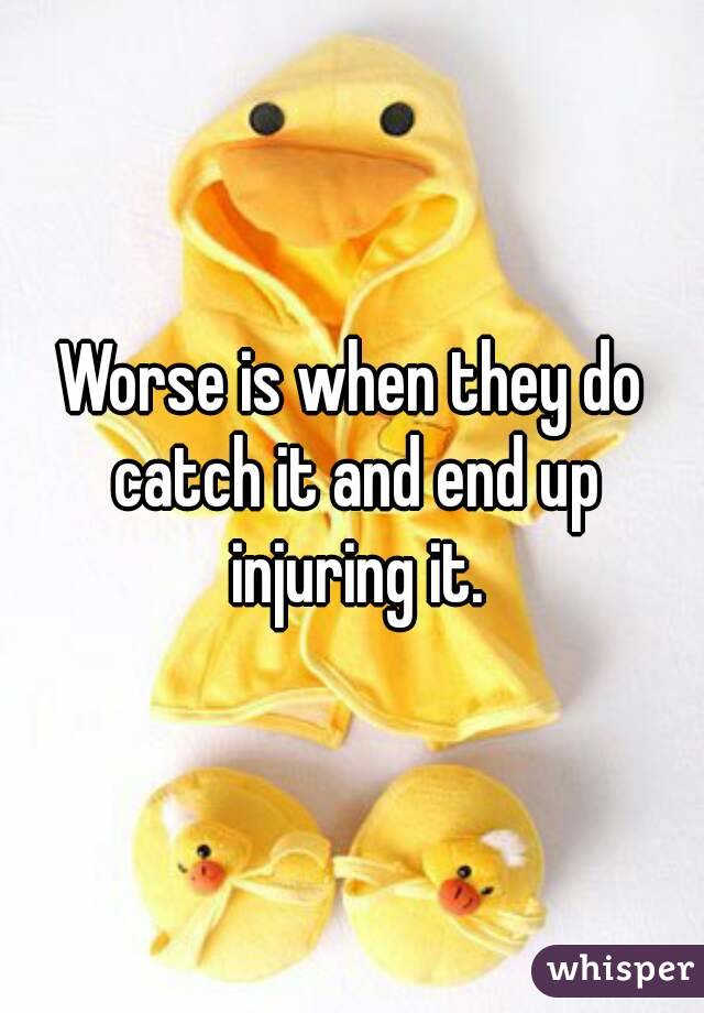 Worse is when they do catch it and end up injuring it.