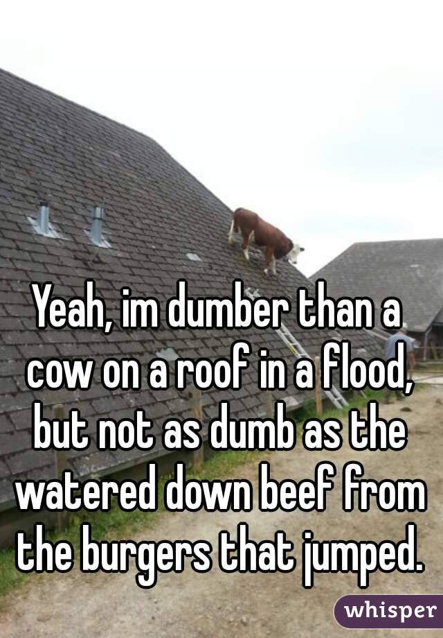 Yeah, im dumber than a cow on a roof in a flood, but not as dumb as the watered down beef from the burgers that jumped.