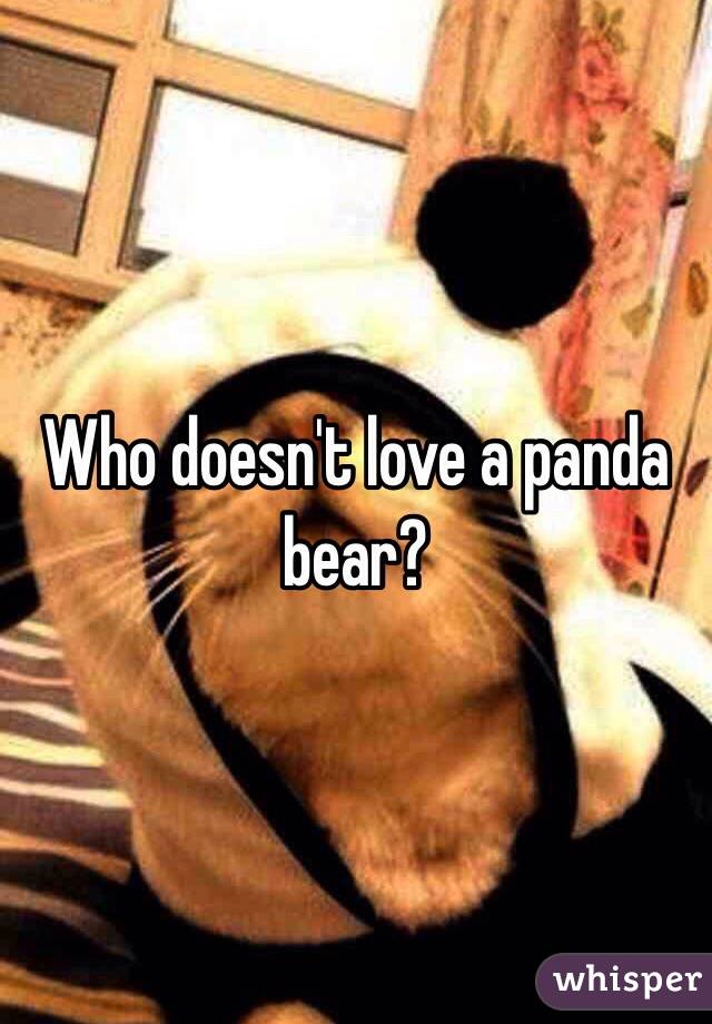 Who doesn't love a panda bear? 