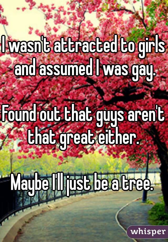 I wasn't attracted to girls and assumed I was gay.

Found out that guys aren't that great either. 

Maybe I'll just be a tree. 