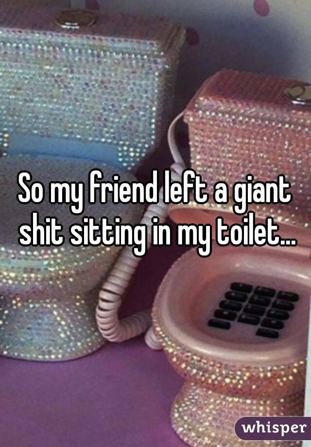 So my friend left a giant shit sitting in my toilet...