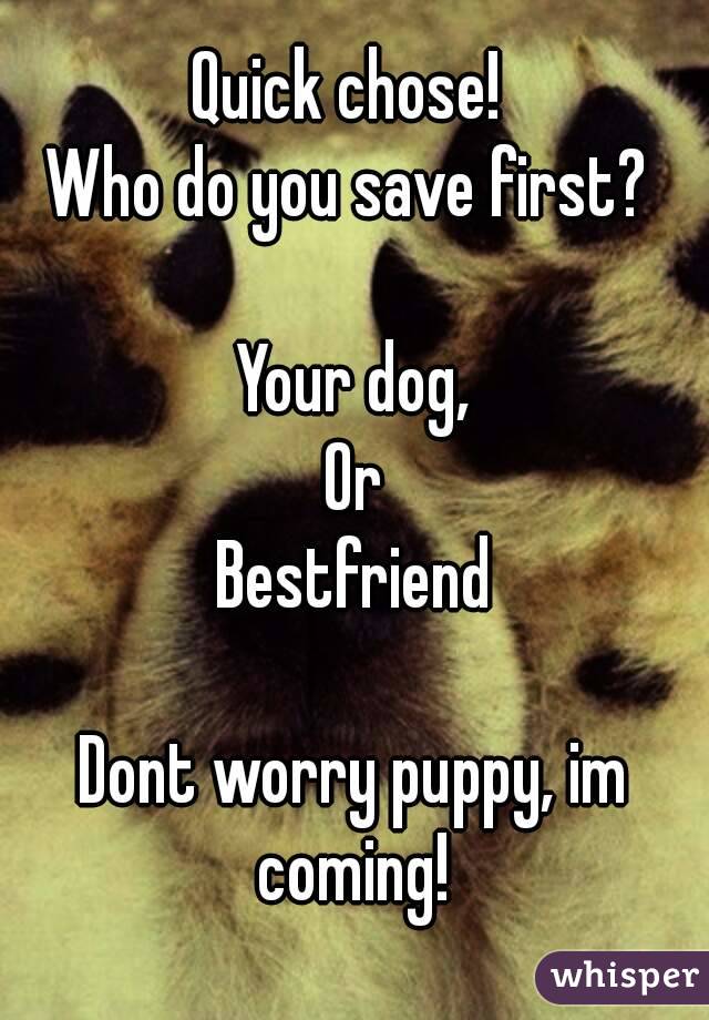 Quick chose! 
Who do you save first? 

Your dog,
Or
Bestfriend

Dont worry puppy, im coming! 