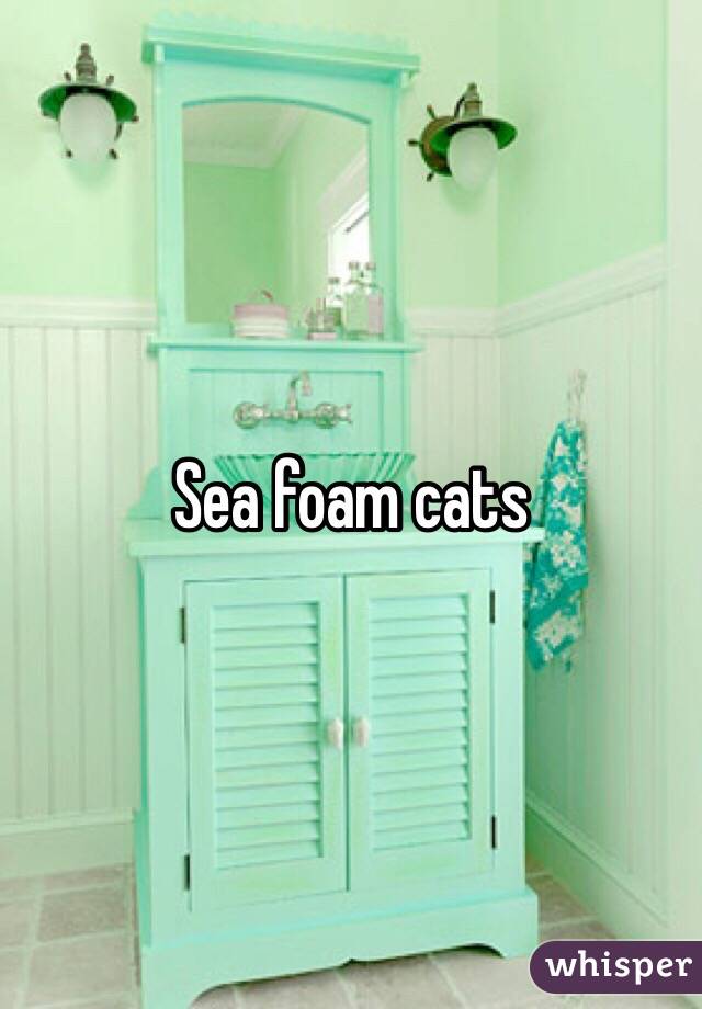 Sea foam cats