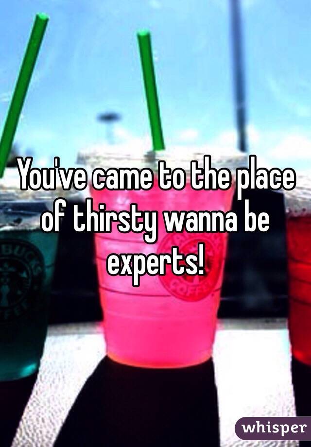 You've came to the place of thirsty wanna be experts!