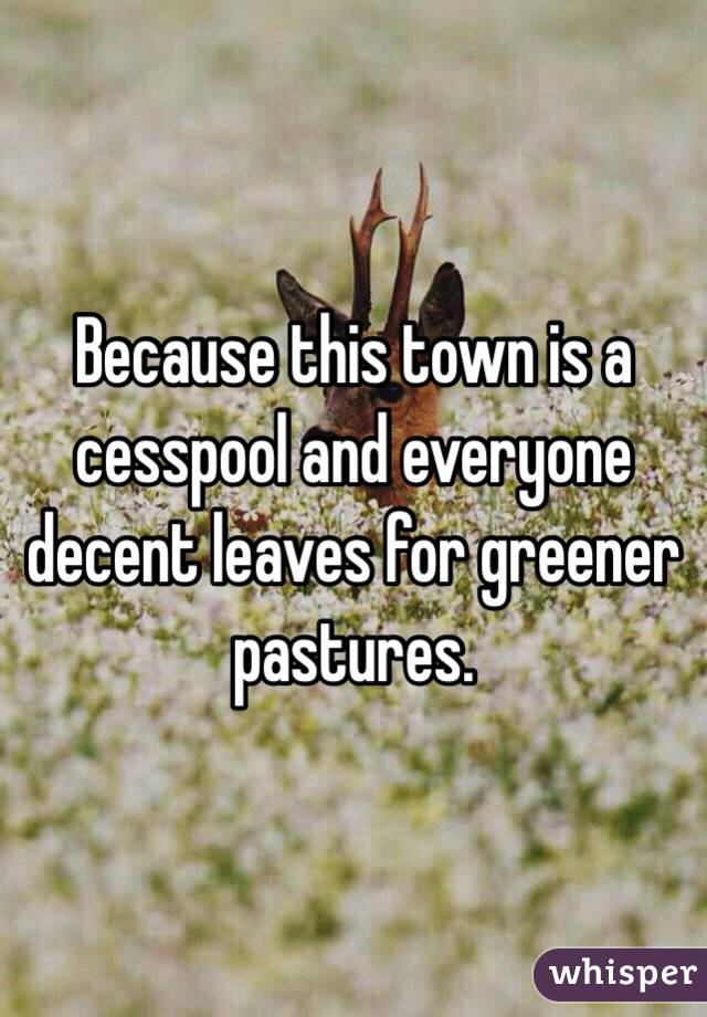 Because this town is a cesspool and everyone decent leaves for greener pastures.