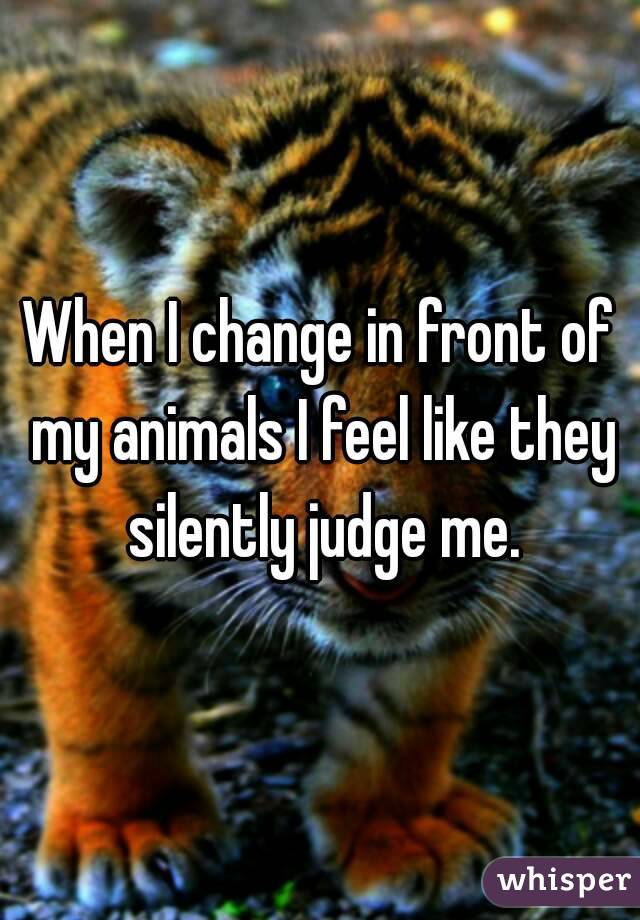 When I change in front of my animals I feel like they silently judge me.