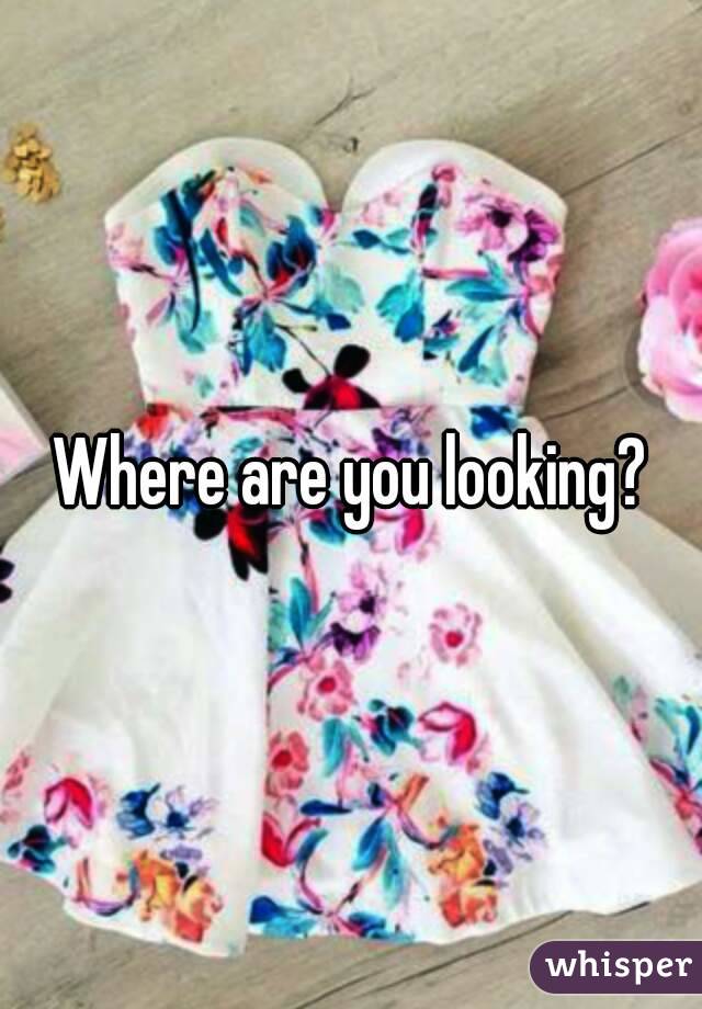 Where are you looking?