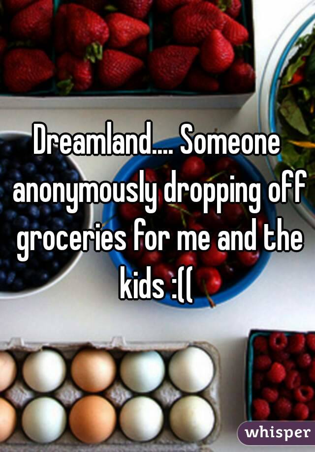 Dreamland.... Someone anonymously dropping off groceries for me and the kids :(( 