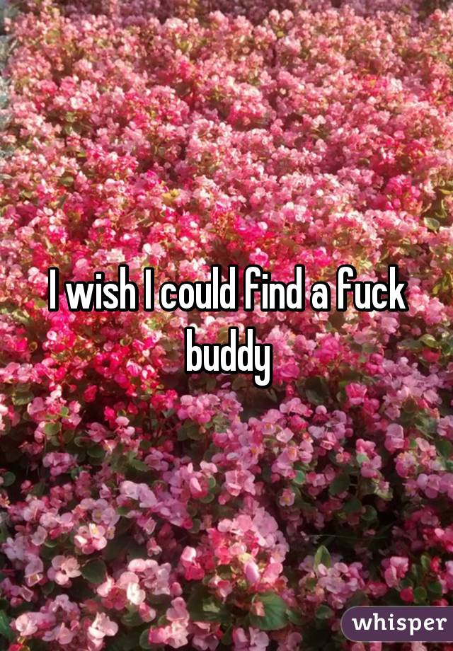 I wish I could find a fuck buddy