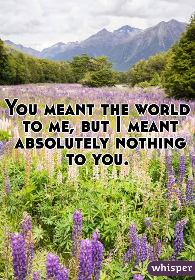 You meant the world to me, but I meant absolutely nothing to you. 