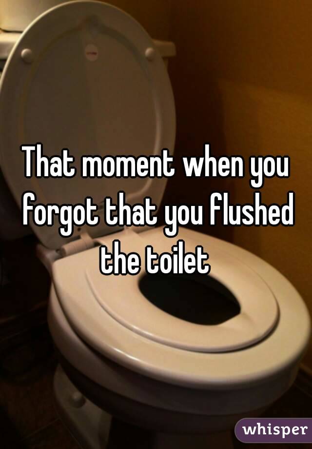 That moment when you forgot that you flushed the toilet 