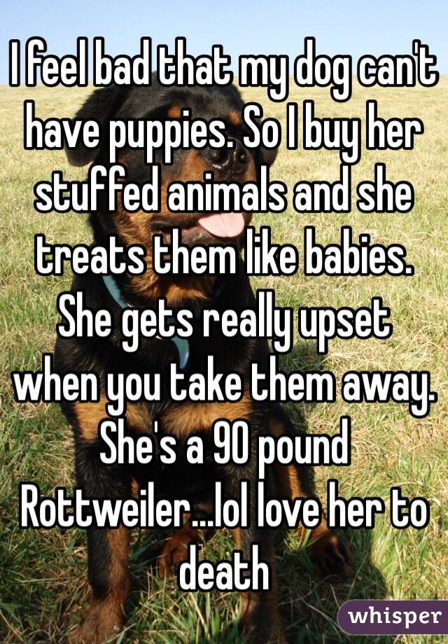 I feel bad that my dog can't have puppies. So I buy her stuffed animals and she treats them like babies. She gets really upset when you take them away. She's a 90 pound Rottweiler...lol love her to death