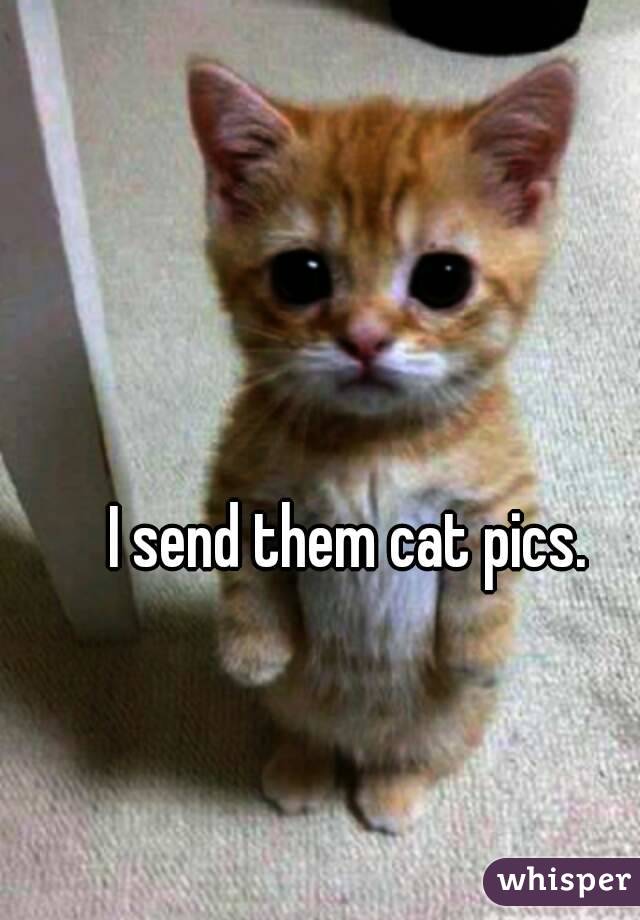 I send them cat pics.