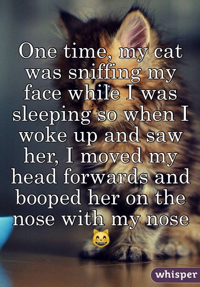 One time, my cat was sniffing my face while I was sleeping so when I woke up and saw her, I moved my head forwards and booped her on the nose with my nose 😸