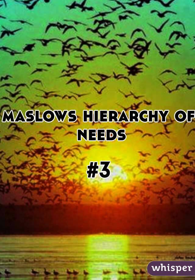 maslows hierarchy of needs

#3