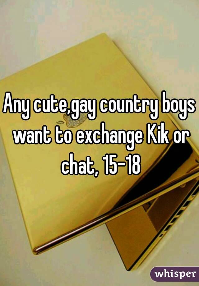 Any cute,gay country boys want to exchange Kik or chat, 15-18