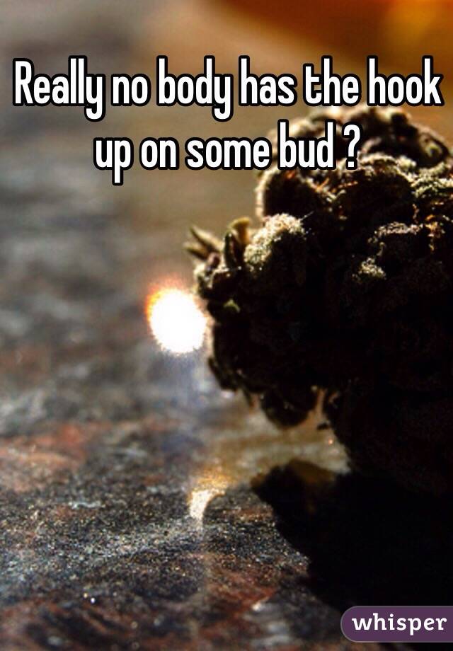 Really no body has the hook up on some bud ? 