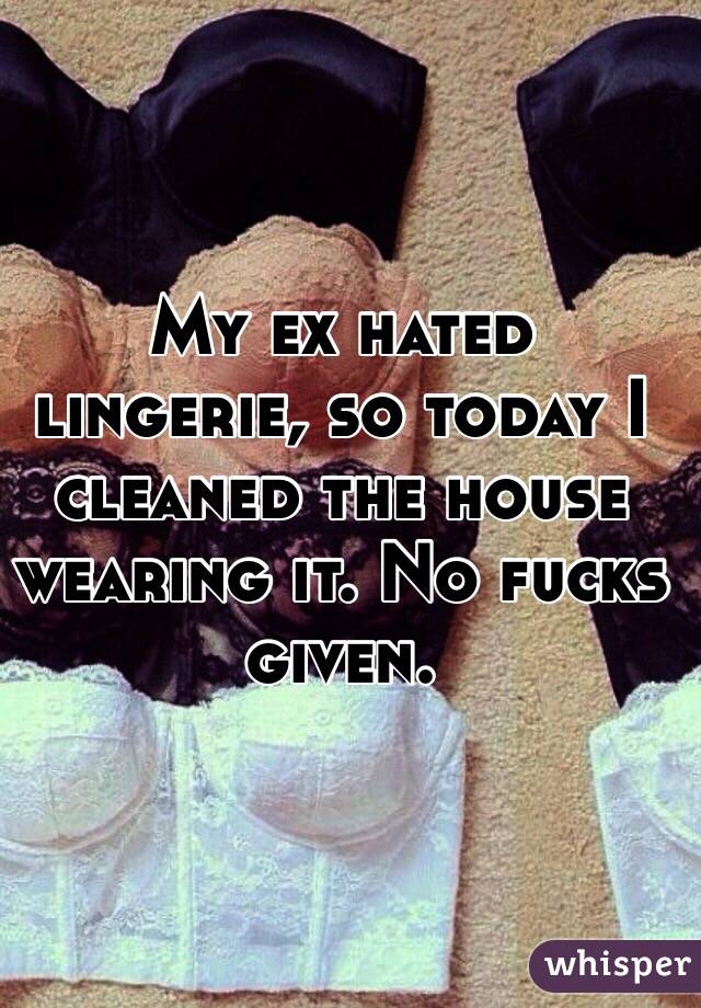 My ex hated lingerie, so today I cleaned the house wearing it. No fucks given. 