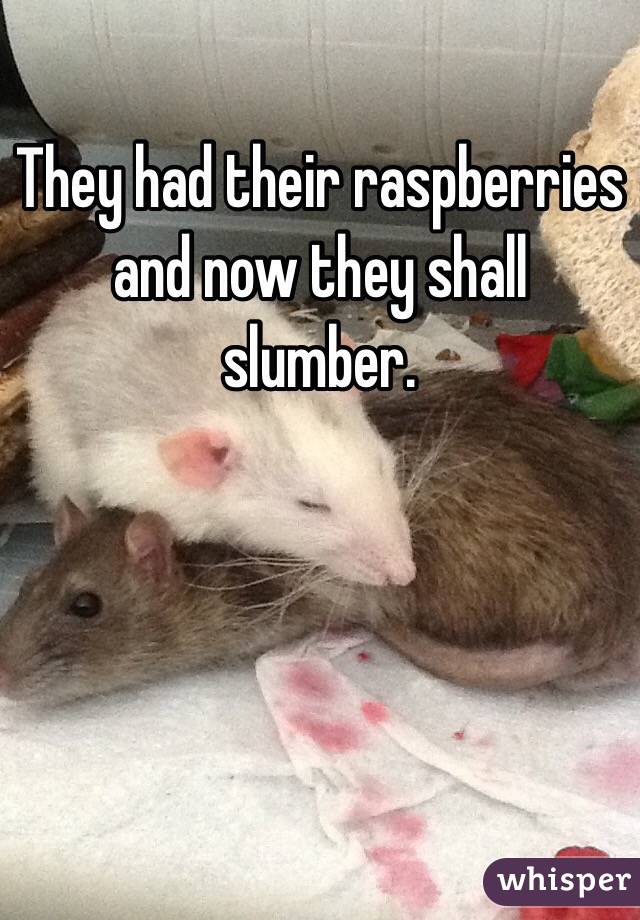 They had their raspberries and now they shall slumber.