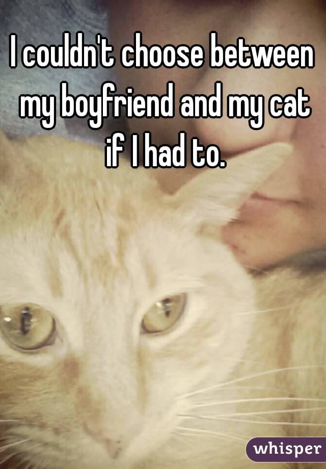 I couldn't choose between my boyfriend and my cat if I had to.
