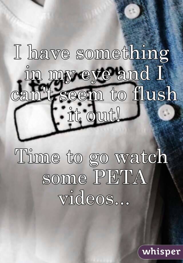 I have something in my eye and I can't seem to flush it out!

Time to go watch some PETA videos...