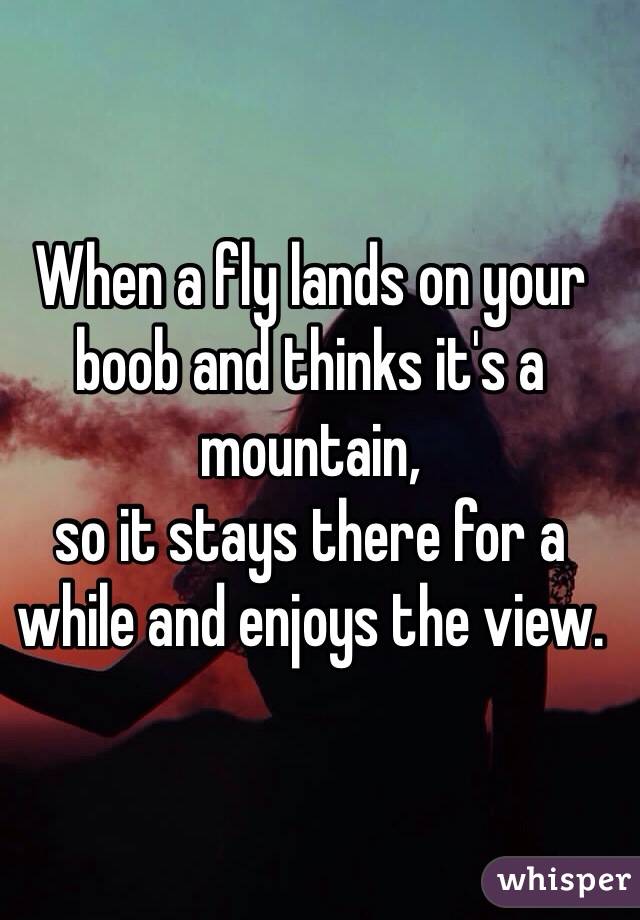 When a fly lands on your boob and thinks it's a mountain, 
so it stays there for a while and enjoys the view.