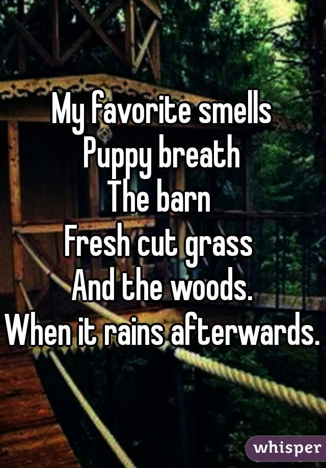 My favorite smells
Puppy breath
The barn 
Fresh cut grass 
And the woods.
When it rains afterwards.
