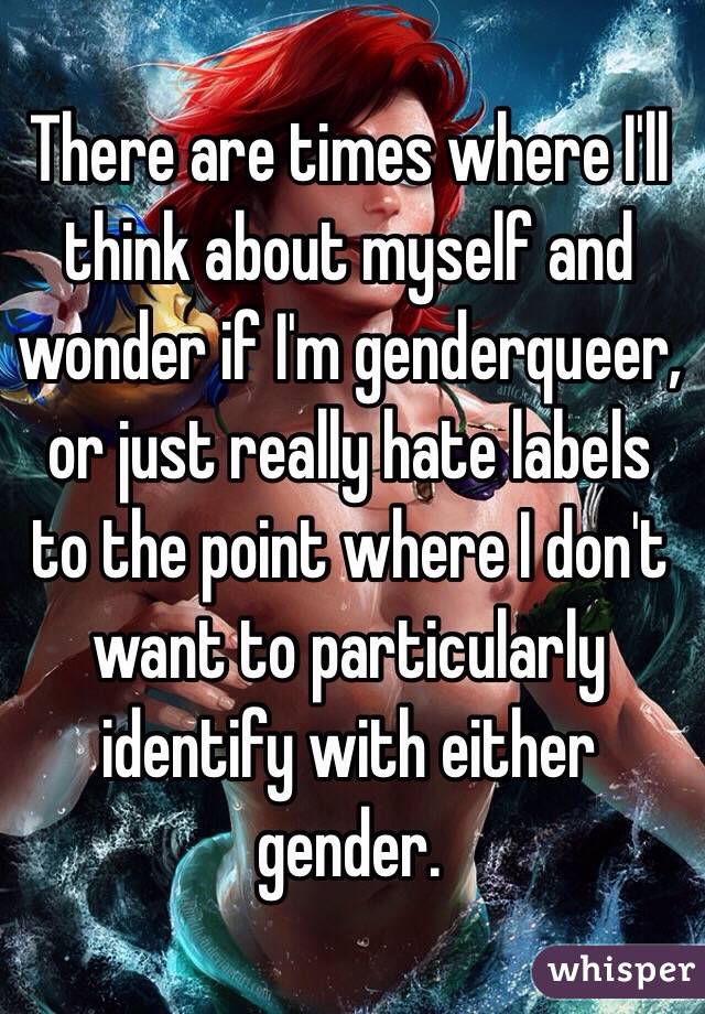 There are times where I'll think about myself and wonder if I'm genderqueer, or just really hate labels to the point where I don't want to particularly identify with either gender. 