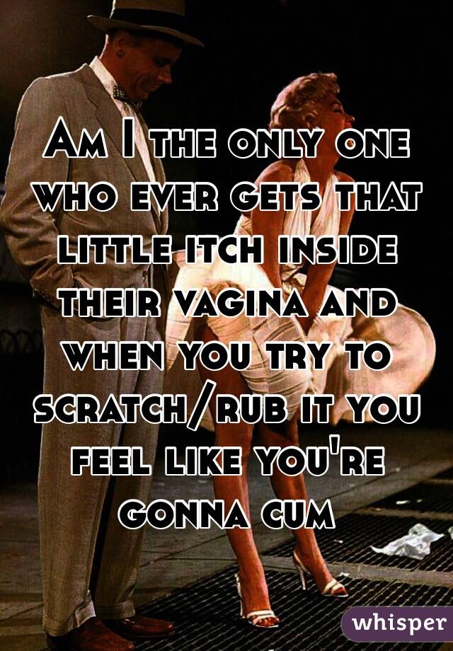 Am I the only one who ever gets that little itch inside their vagina and when you try to scratch/rub it you feel like you're gonna cum