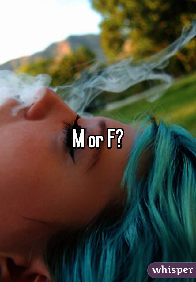 M or F?