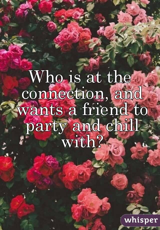 Who is at the connection, and wants a friend to party and chill with?