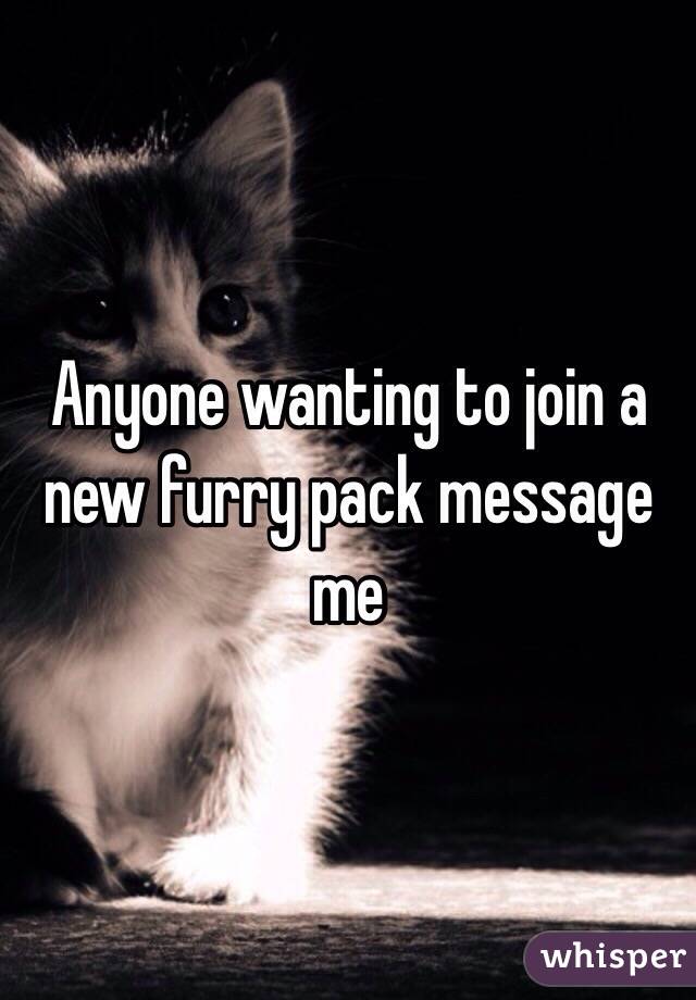 Anyone wanting to join a new furry pack message me