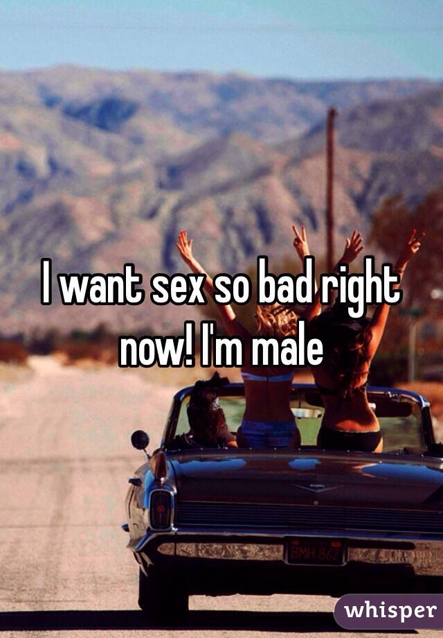 I want sex so bad right now! I'm male 