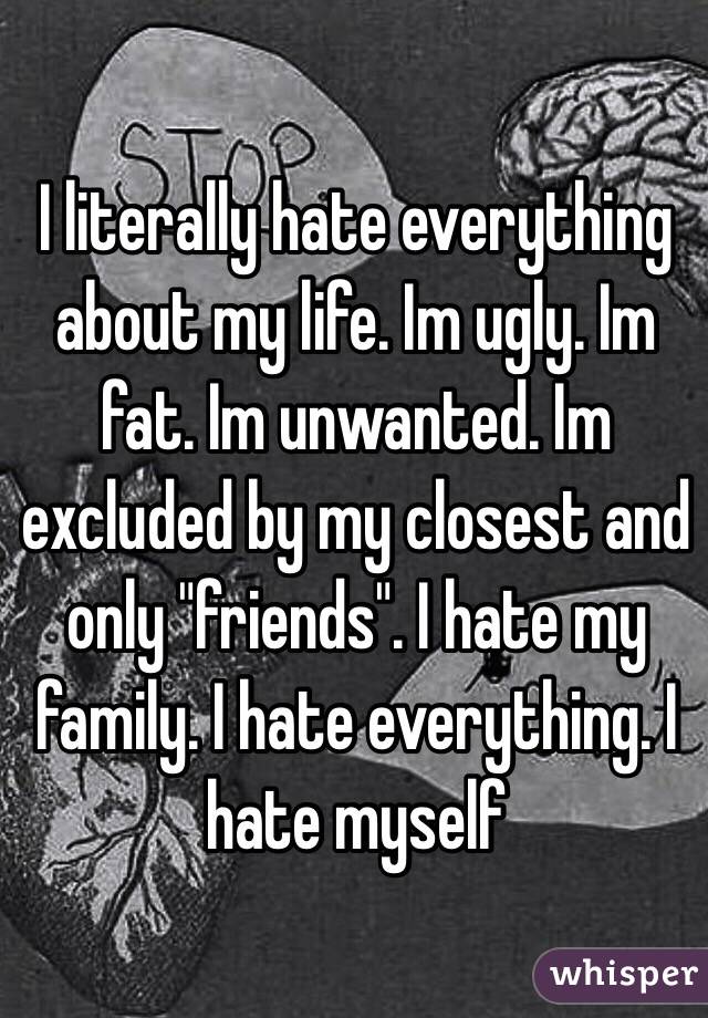 I literally hate everything about my life. Im ugly. Im fat. Im unwanted. Im excluded by my closest and only "friends". I hate my family. I hate everything. I hate myself