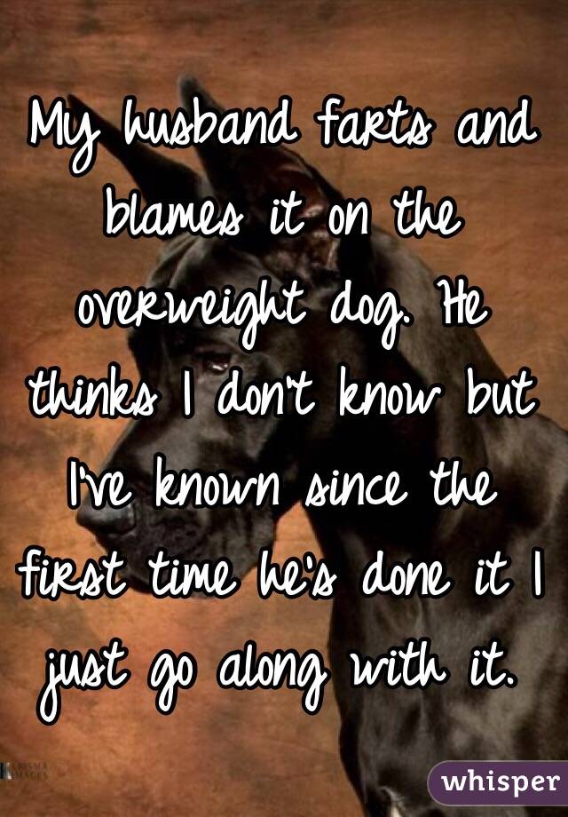 My husband farts and blames it on the overweight dog. He thinks I don't know but I've known since the first time he's done it I just go along with it. 