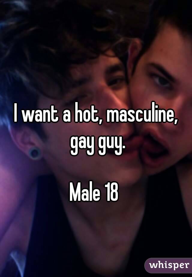 I want a hot, masculine, gay guy.

Male 18 