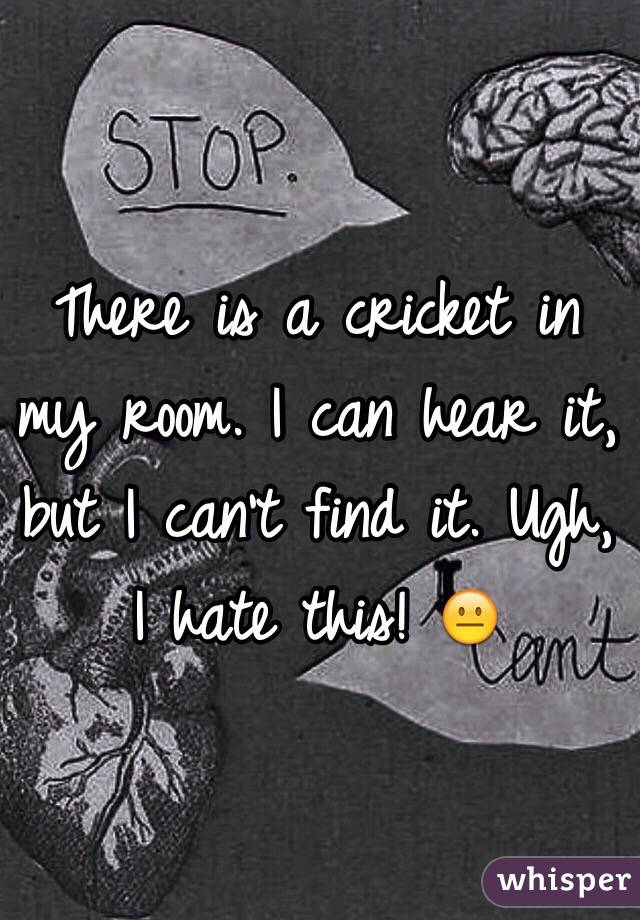 There is a cricket in my room. I can hear it, but I can't find it. Ugh, I hate this! 😐