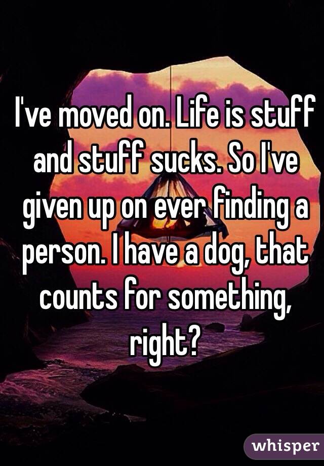 I've moved on. Life is stuff and stuff sucks. So I've given up on ever finding a person. I have a dog, that counts for something, right?