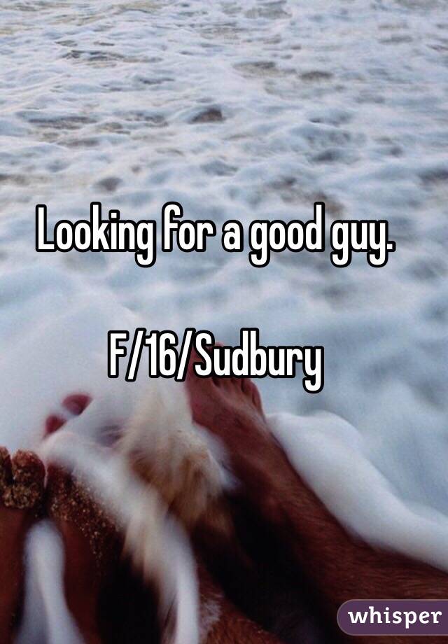 Looking for a good guy. 

F/16/Sudbury 