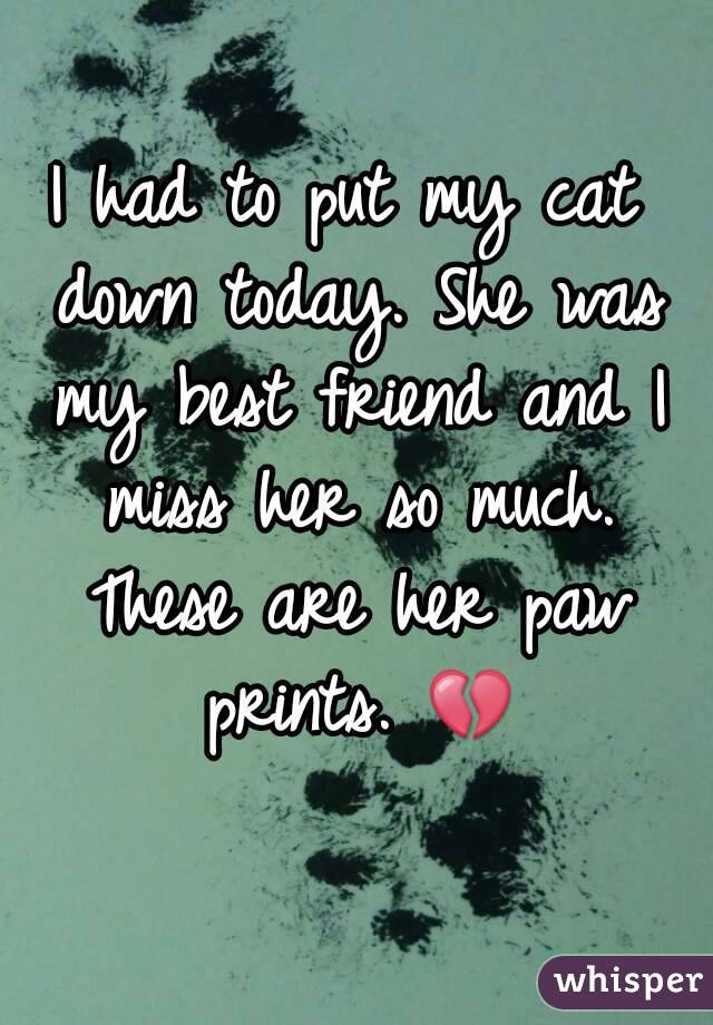 I had to put my cat down today. She was my best friend and I miss her so much. These are her paw prints. 💔