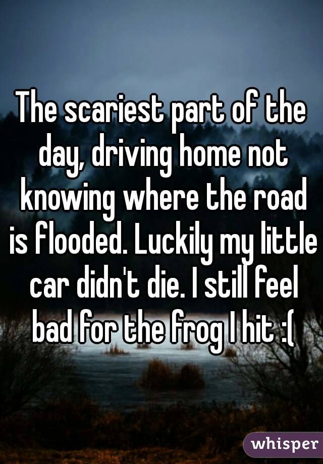 The scariest part of the day, driving home not knowing where the road is flooded. Luckily my little car didn't die. I still feel bad for the frog I hit :(