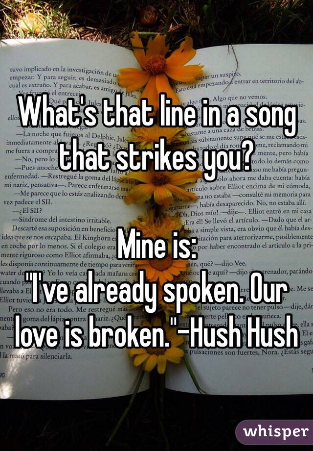 What's that line in a song that strikes you?

Mine is:
"I've already spoken. Our love is broken."-Hush Hush