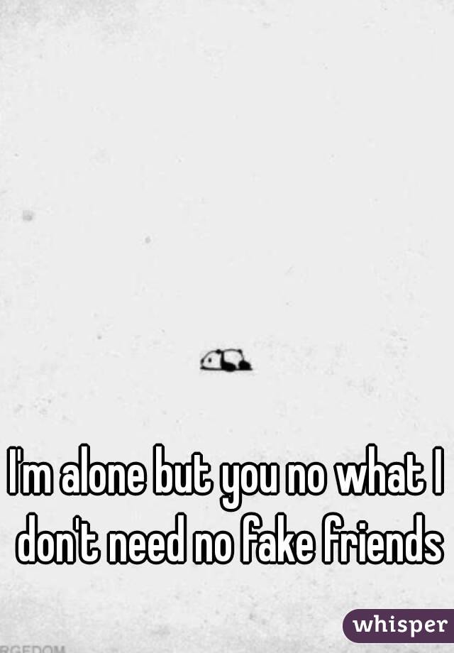 I'm alone but you no what I don't need no fake friends