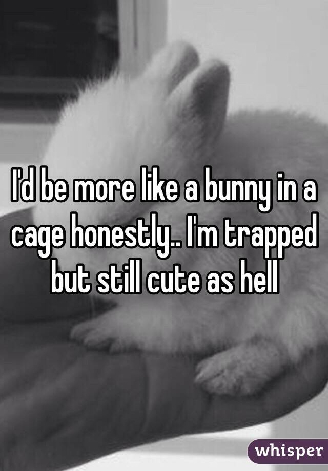 I'd be more like a bunny in a cage honestly.. I'm trapped but still cute as hell