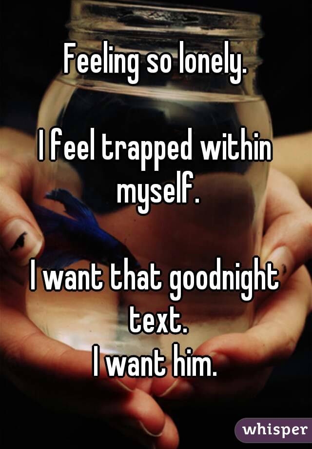 Feeling so lonely.

I feel trapped within myself.

I want that goodnight text.
I want him.