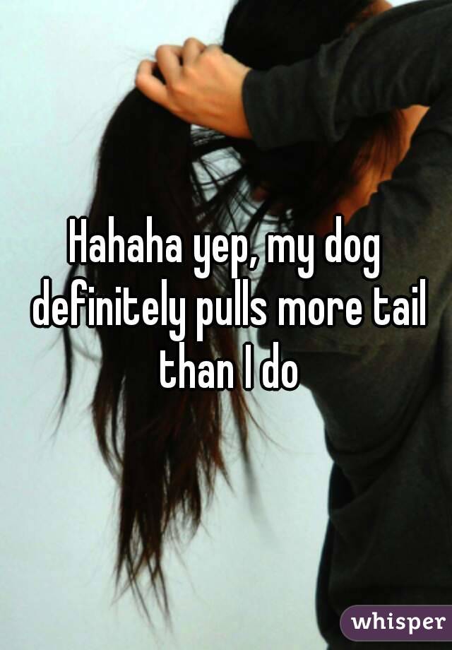 Hahaha yep, my dog definitely pulls more tail than I do