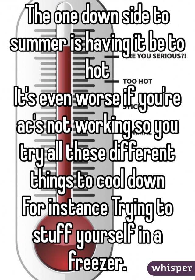 The one down side to summer is having it be to hot
It's even worse if you're ac's not working so you try all these different things to cool down 
For instance Trying to stuff yourself in a freezer. 