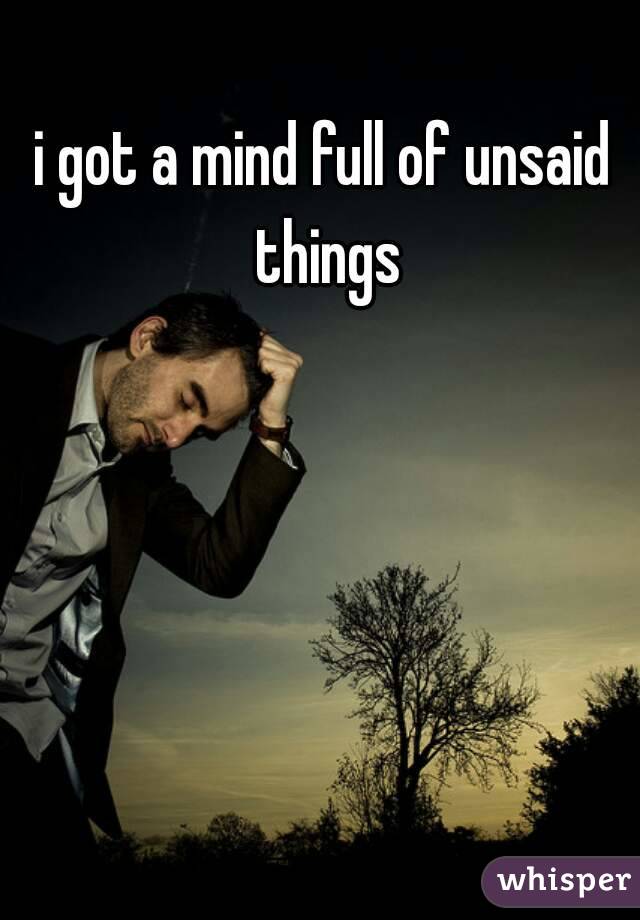 i got a mind full of unsaid things