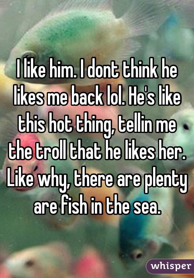 I like him. I dont think he likes me back lol. He's like this hot thing, tellin me the troll that he likes her.
Like why, there are plenty are fish in the sea. 