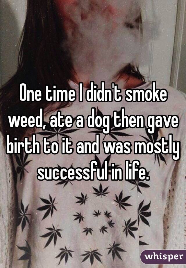 One time I didn't smoke weed, ate a dog then gave birth to it and was mostly successful in life.